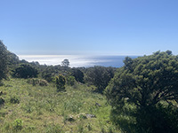 Collobrières